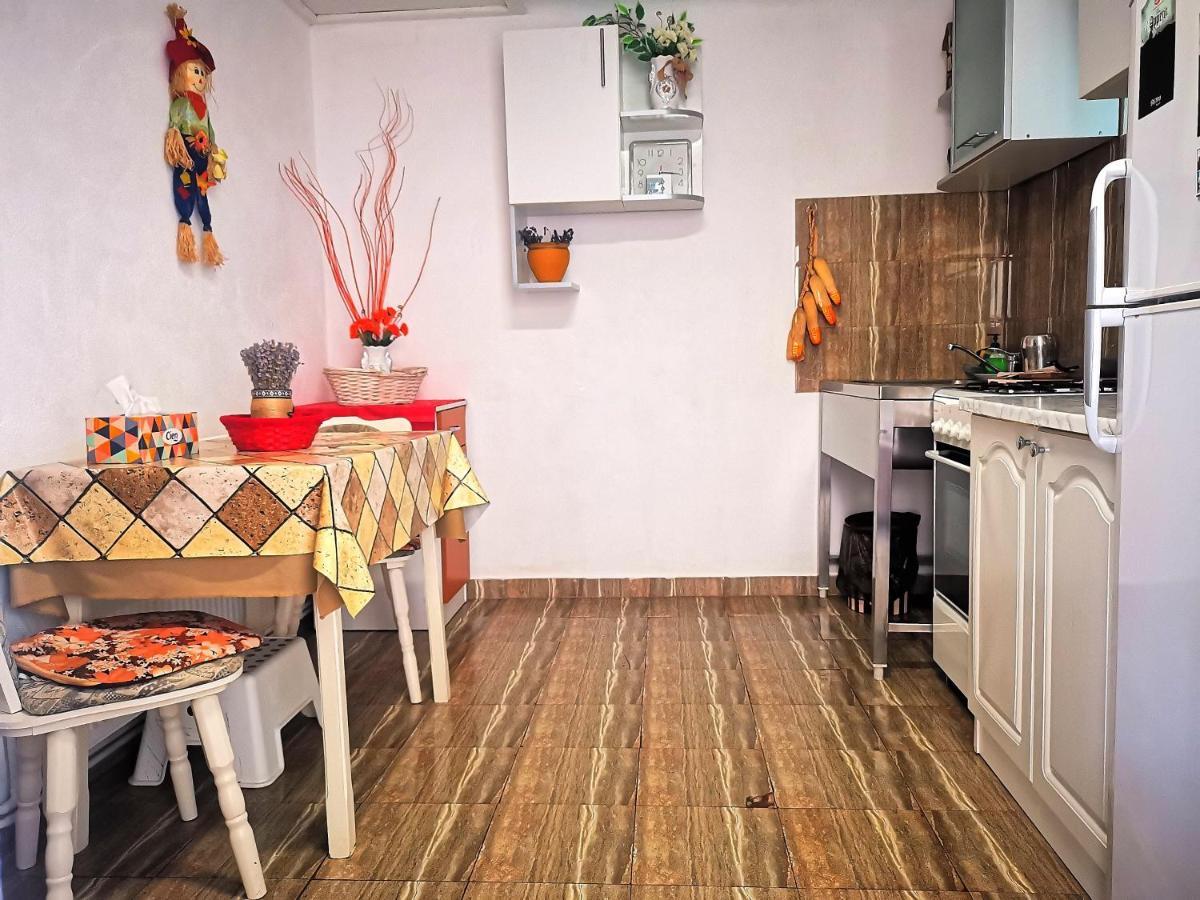 הוילה קורטאה דה ארגס Casa Petrescu מראה חיצוני תמונה