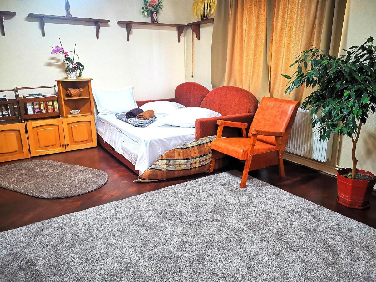 הוילה קורטאה דה ארגס Casa Petrescu מראה חיצוני תמונה