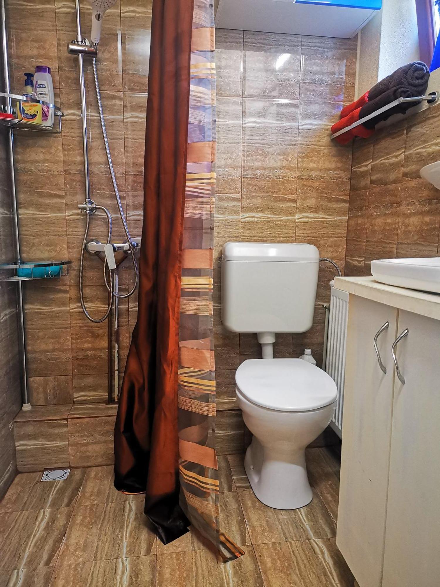 הוילה קורטאה דה ארגס Casa Petrescu מראה חיצוני תמונה