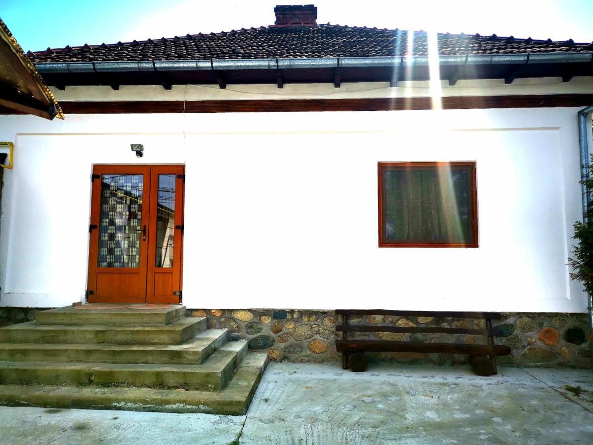 הוילה קורטאה דה ארגס Casa Petrescu מראה חיצוני תמונה