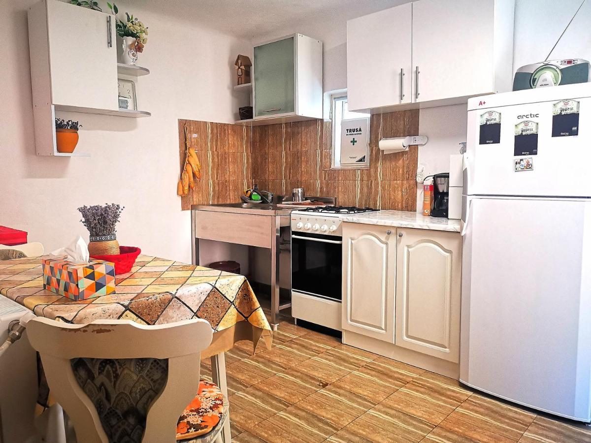 הוילה קורטאה דה ארגס Casa Petrescu מראה חיצוני תמונה
